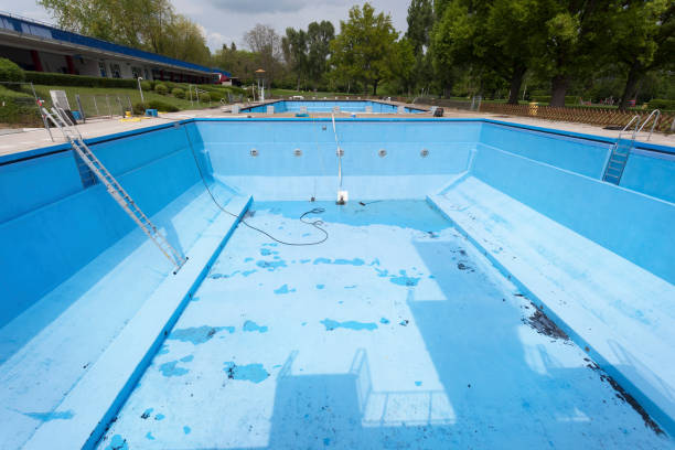Best Mold removal after water damage  in Fate, TX