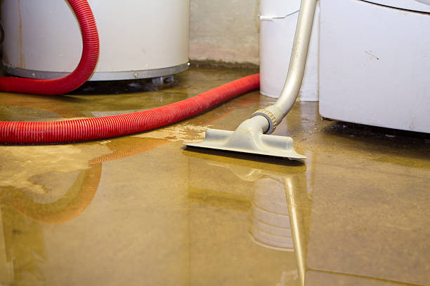 Best Commercial water damage restoration  in Fate, TX
