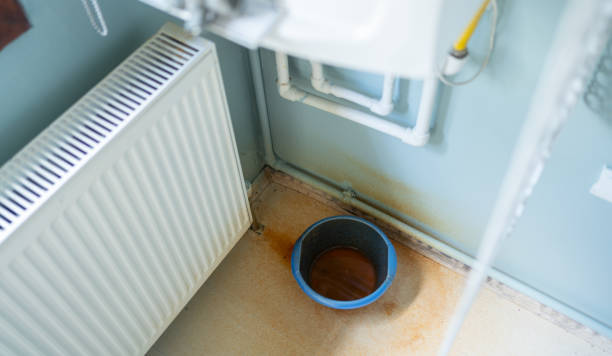 Best Professional water damage repair  in Fate, TX