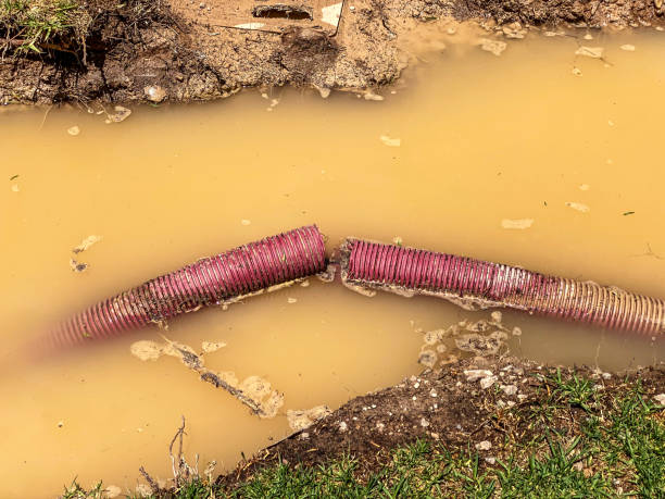  Fate, TX Water damage restoration Pros
