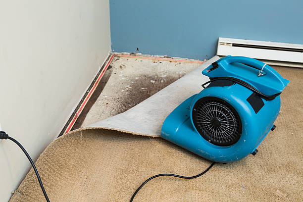 Best Flood damage cleanup  in Fate, TX